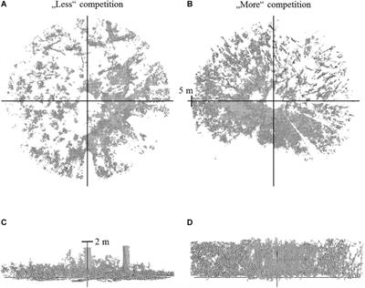 Advanced Aboveground Spatial Analysis as Proxy for the Competitive Environment Affecting Sapling Development